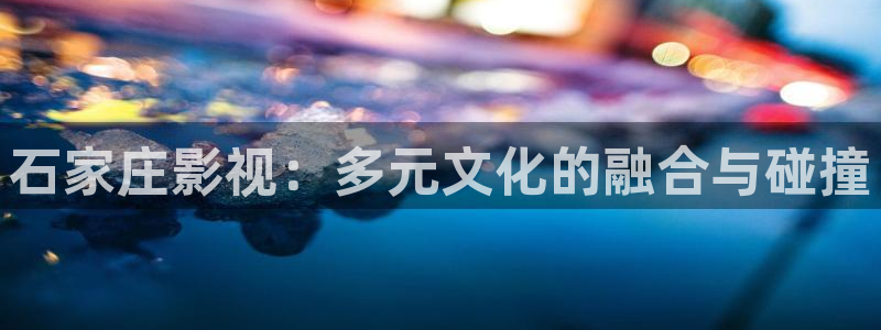 斑马s1