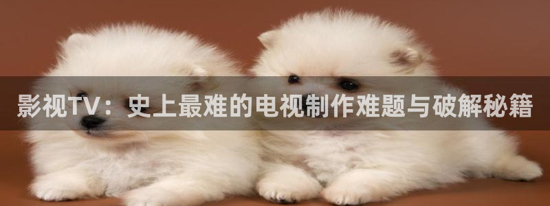 斑马高清在线观看