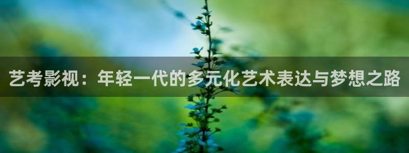 斑马ds9208