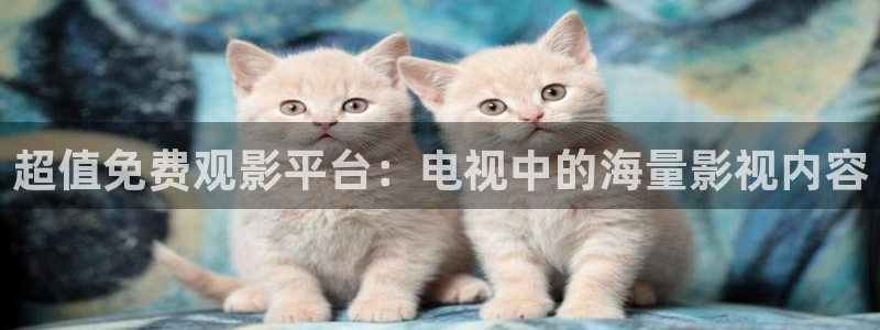斑马电影街首页