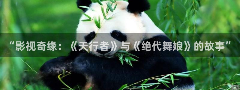 斑马免费观看策驰影院