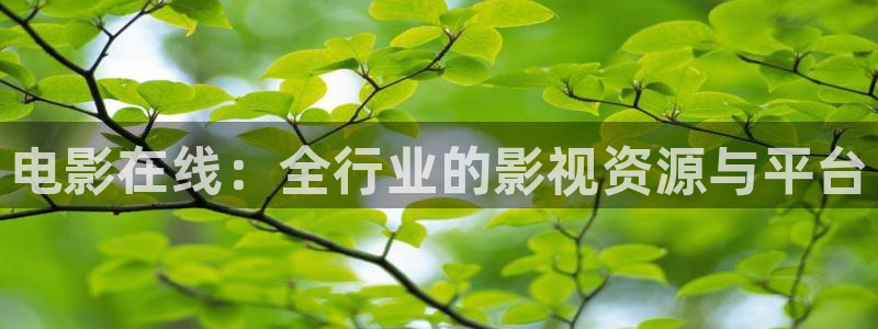 斑马影视下载
