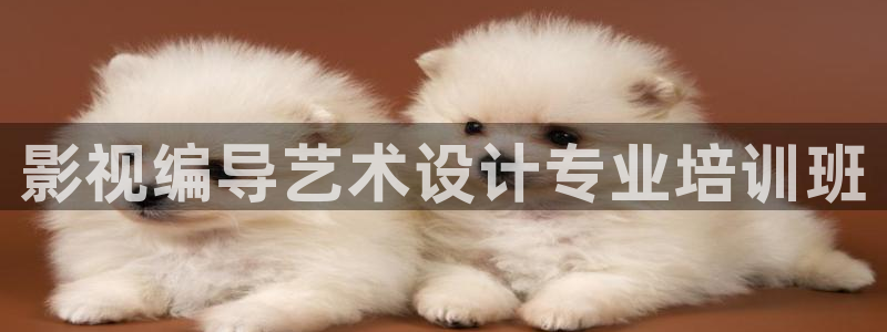 斑马电影伦理