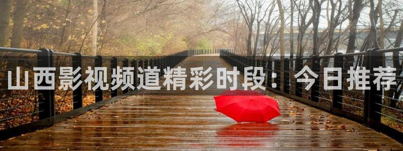 斑马ds4308：山西影视频道精彩时段：今日推荐
