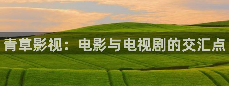 斑马影音