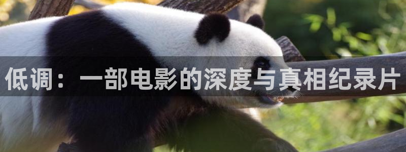 斑马物联
