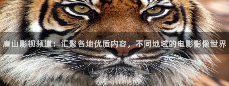 斑马800