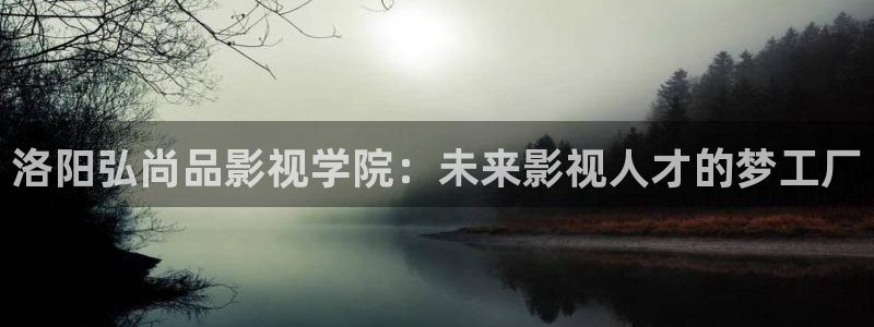 斑马ls4208